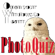 Photo.Quiz