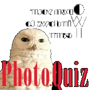 Photo.Quiz