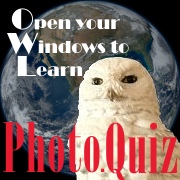 Photo.Quiz