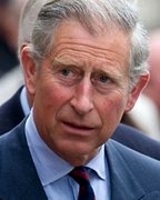 OWL quiz and pictures