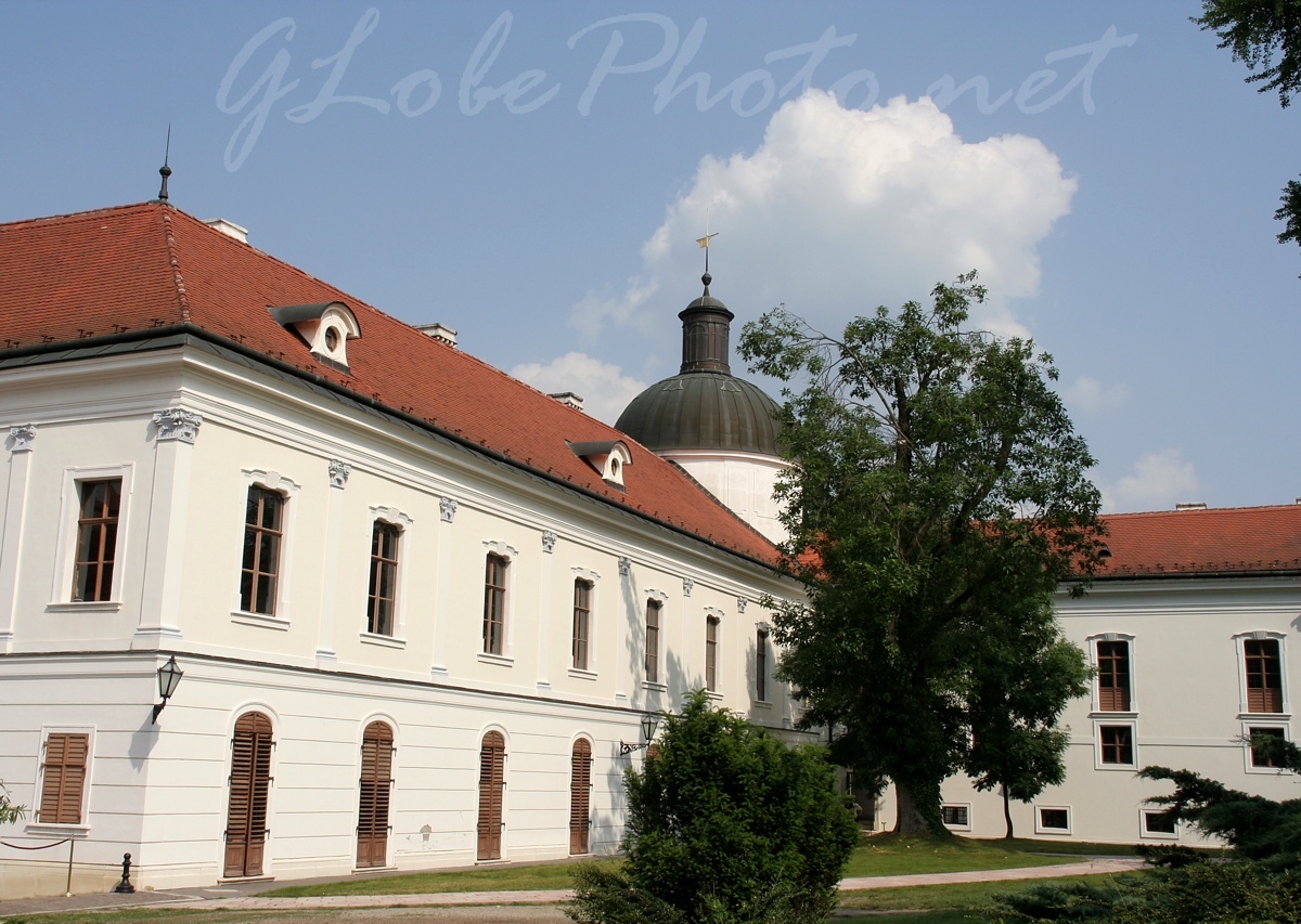 Gdlli Kirlyi Kastly - Grassalkovich Castle, Gdll