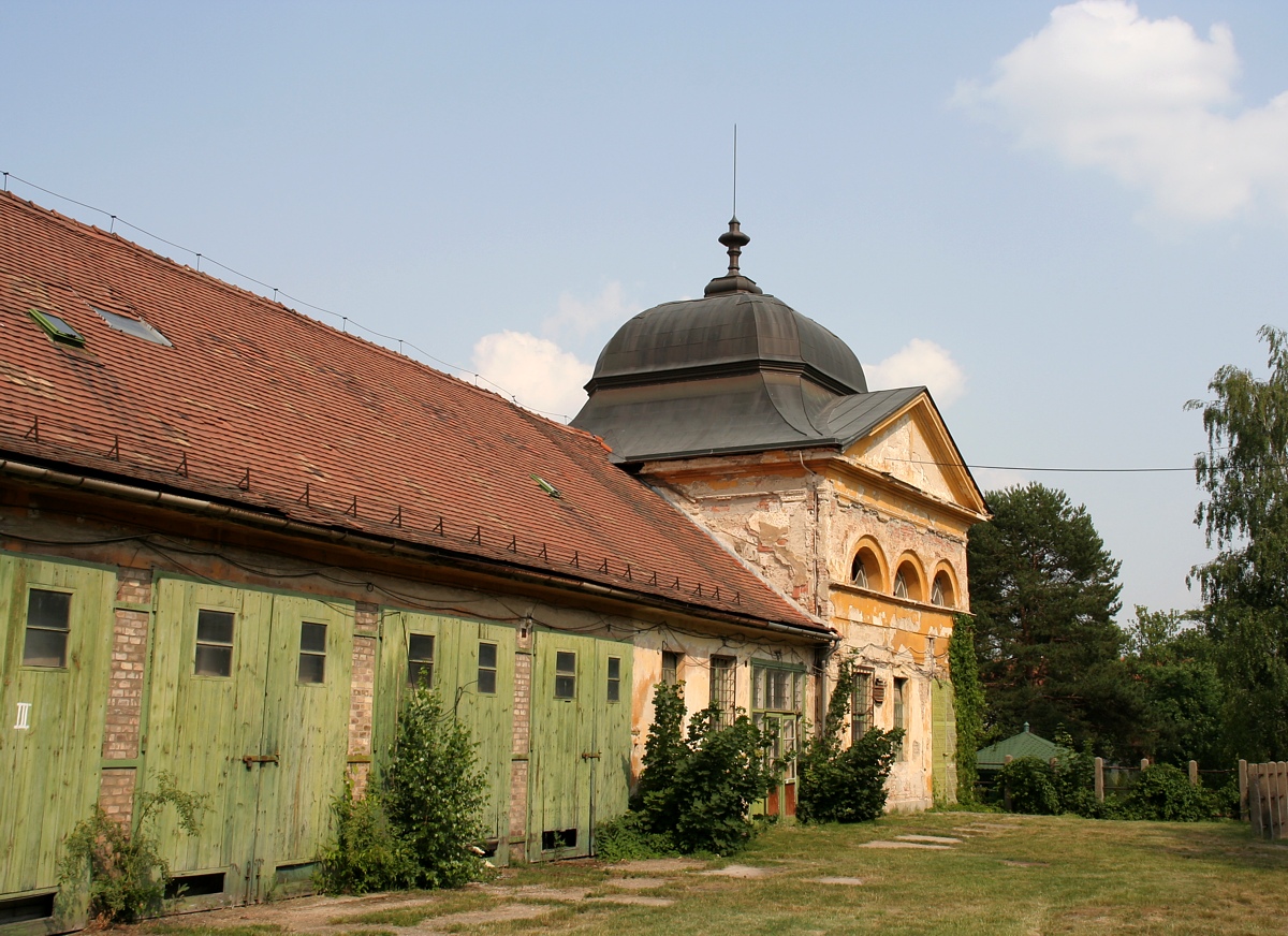 Gdlli Kirlyi Kastly - Grassalkovich Castle, Gdll