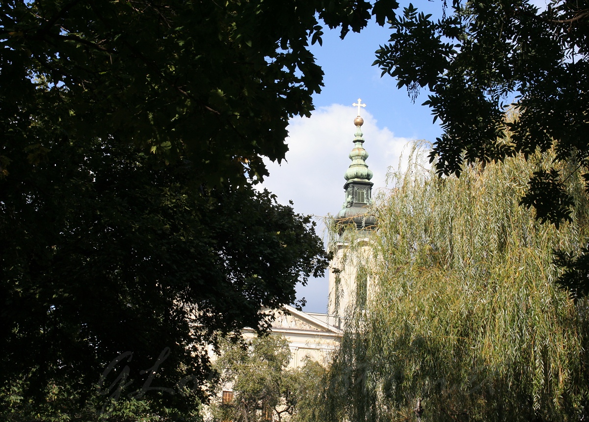 Budai Park Sznpadnl