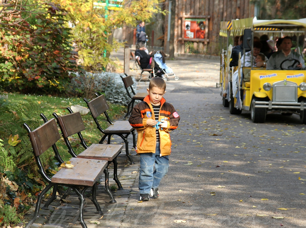 llatkertben