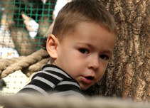 llatkertben - In Budapest Zoo