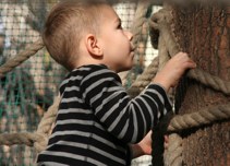 llatkertben - In Budapest Zoo