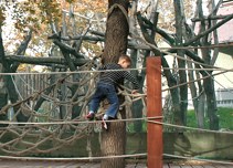 llatkertben - In Budapest Zoo