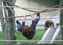 llatkertben - In Budapest Zoo