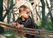 llatkertben - In Budapest Zoo