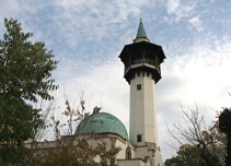 llatkertben - In Budapest Zoo