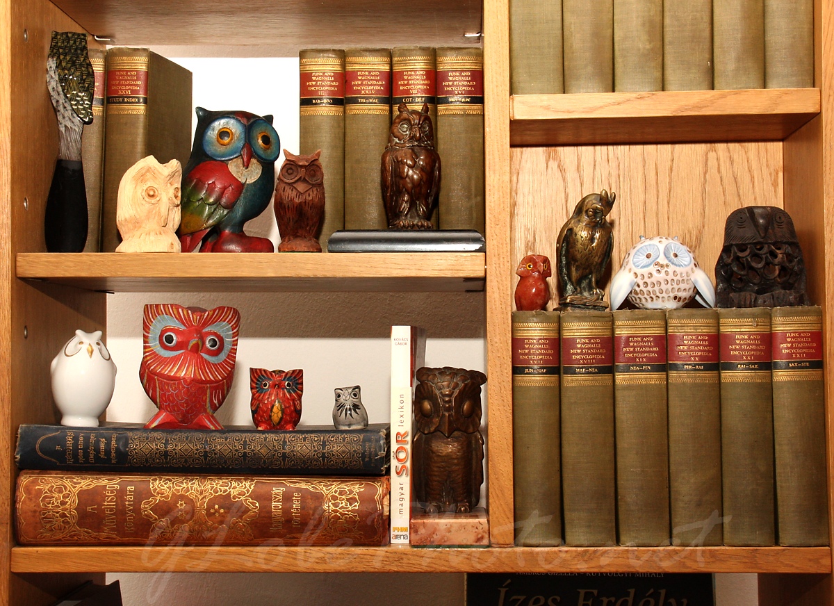 Baglyok a könyvespolcon - Owls on the bookshelf