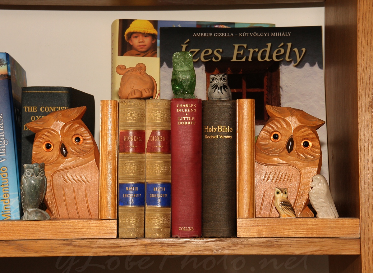 Baglyok a knyvespolcon - Owls on the bookshelf