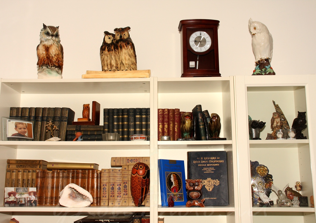 Baglyok a könyvespolcon - Owls on the bookshelf