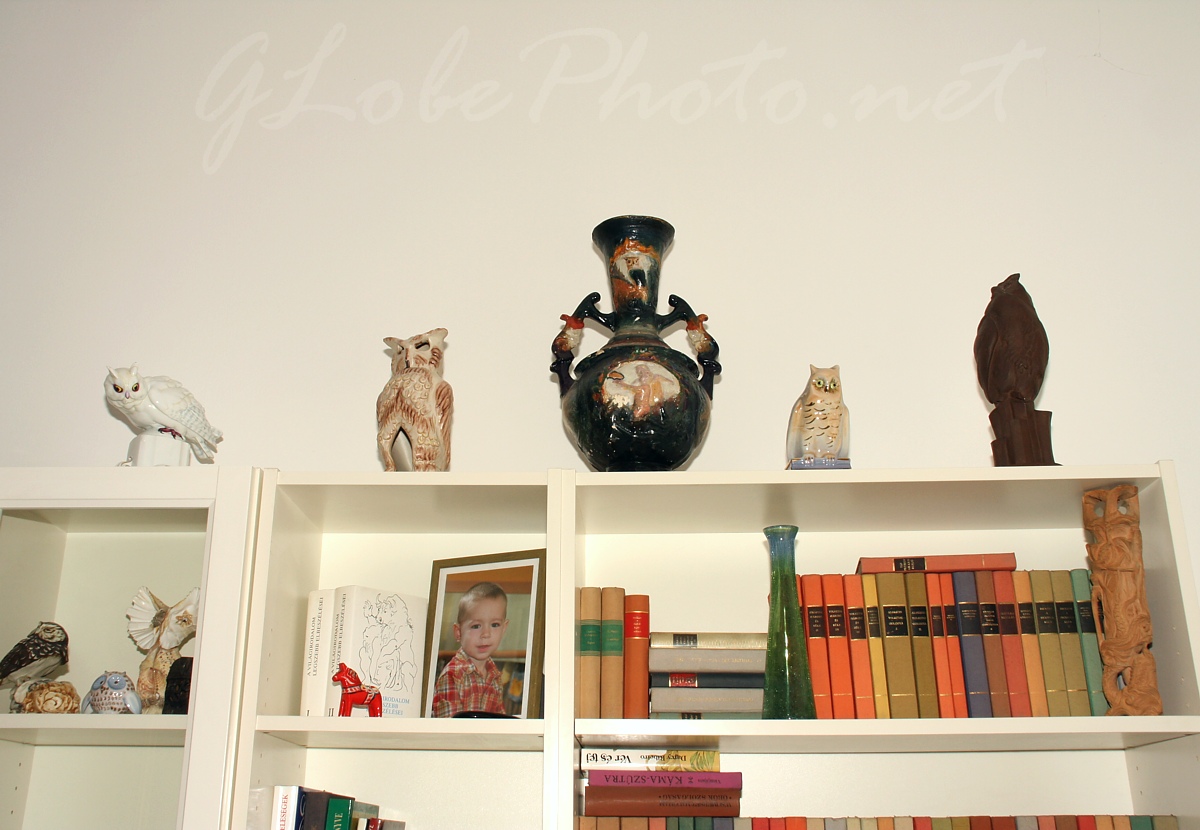 A polc tetején - On top of the shelf