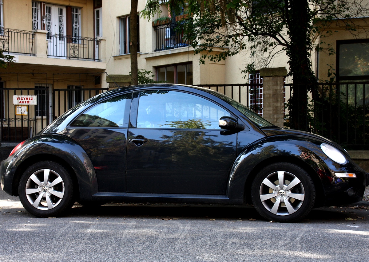 New Beetle