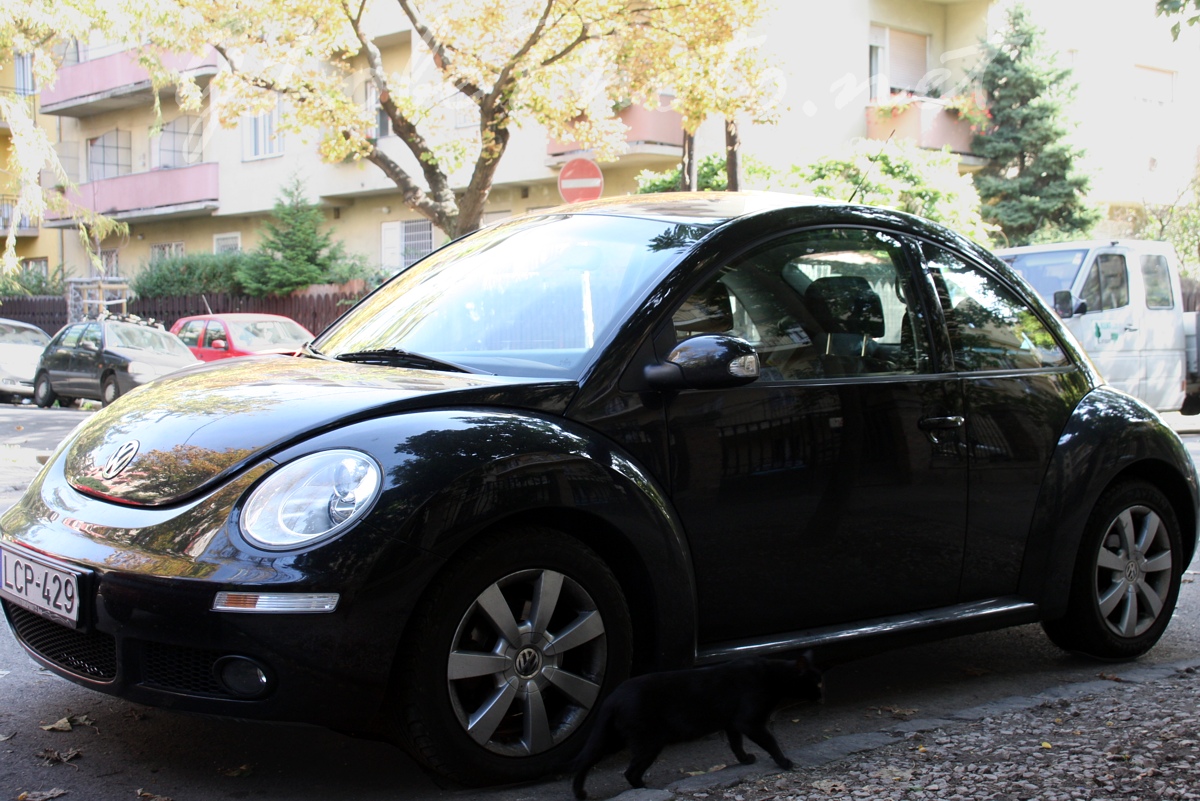 New Beetle