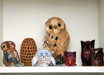 OWLs