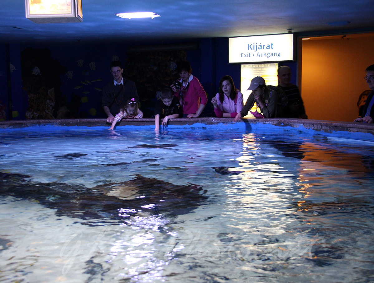 Oceanarium