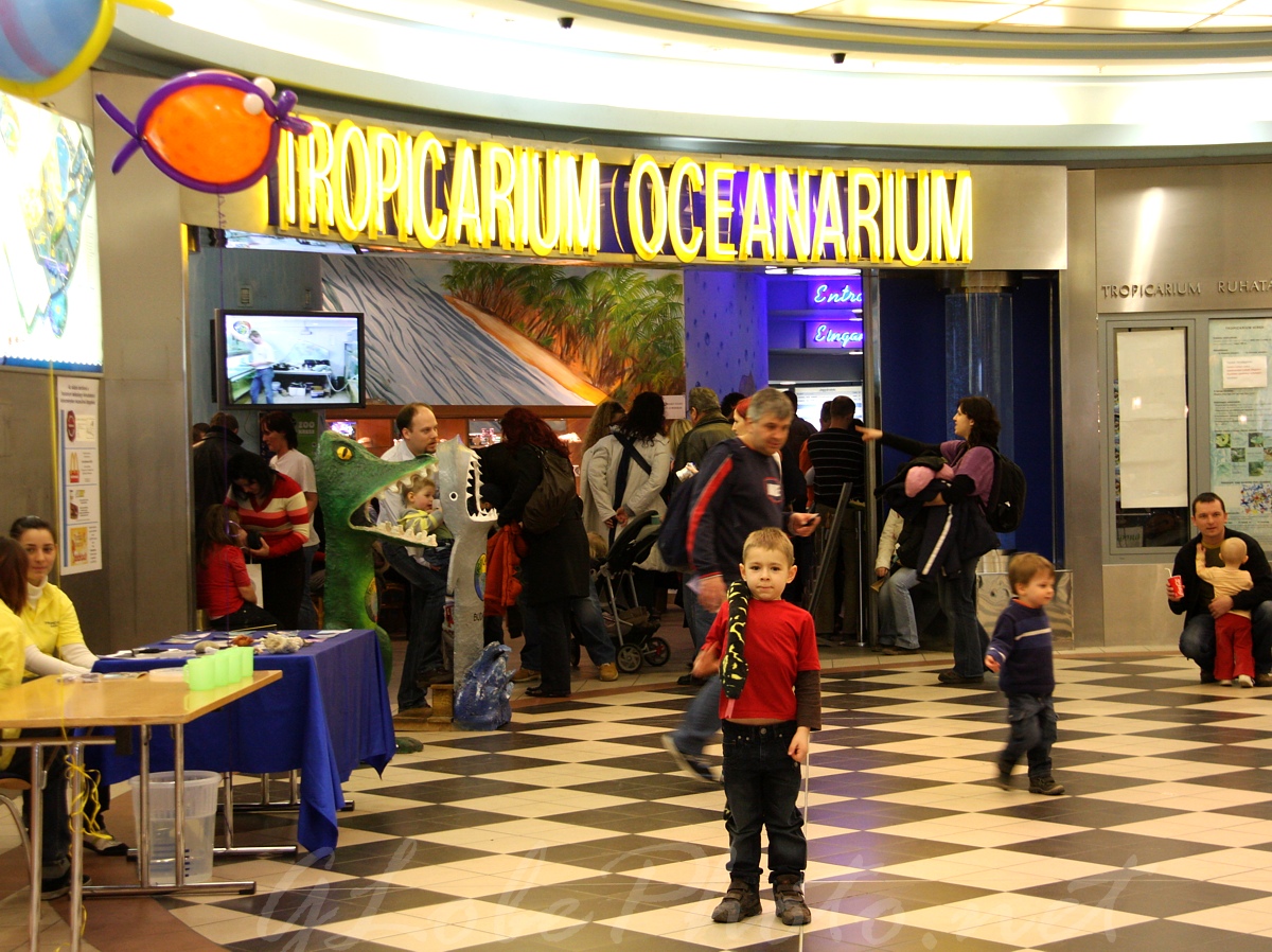 Tropicarium Oceanarium