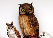 OWLs