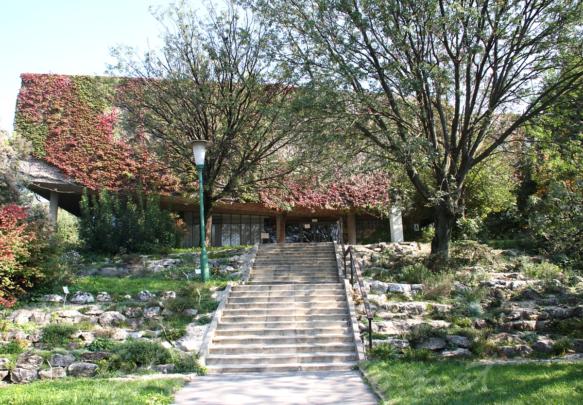 Budai Arbortum - Botanical Garden