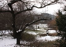 Budai Arborétum télen