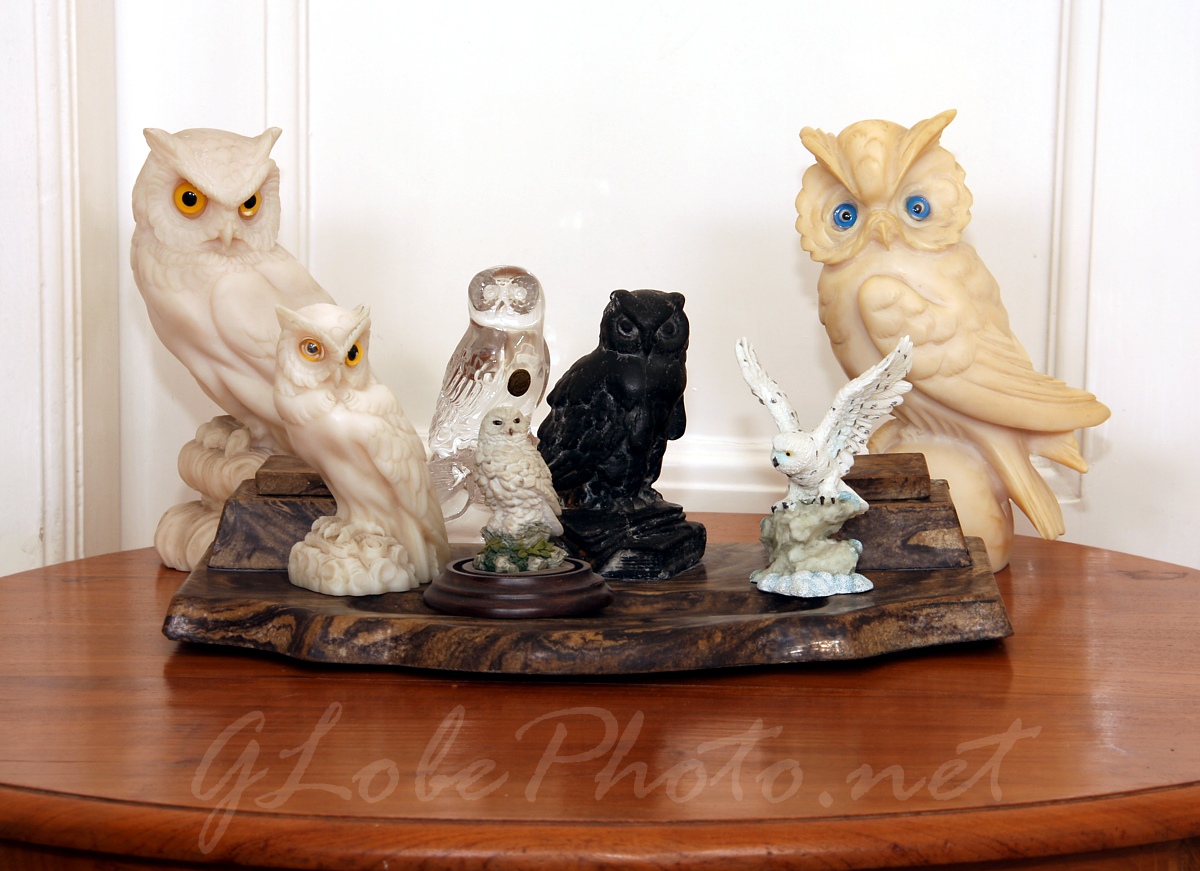Baglyok - Owls